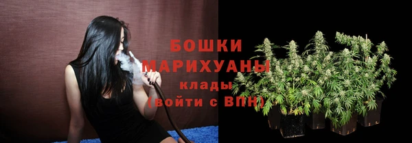 индика Белоозёрский