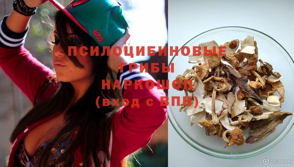гашик Белокуриха